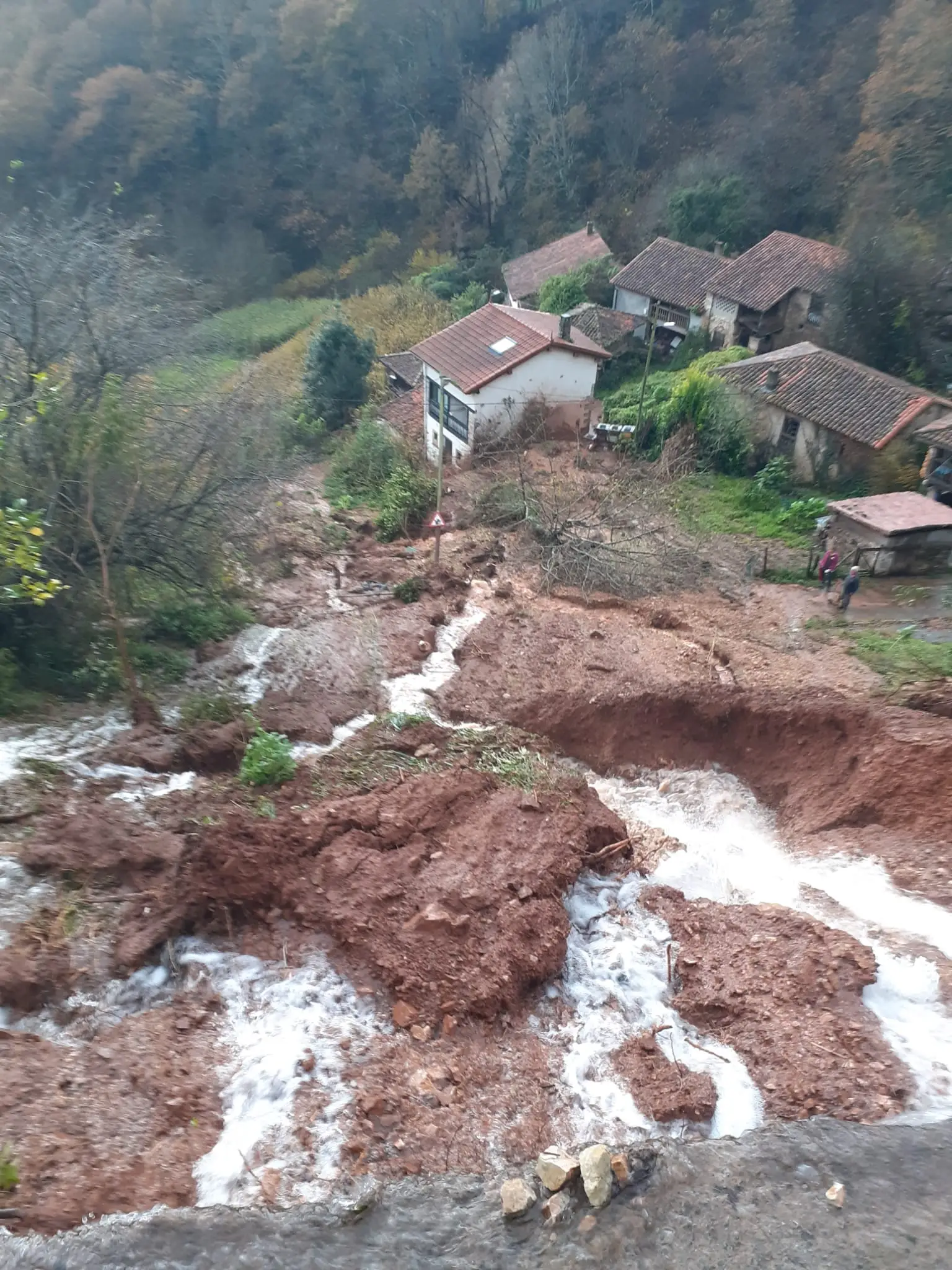 Portada de Remodelación puente de Cangas de Onís